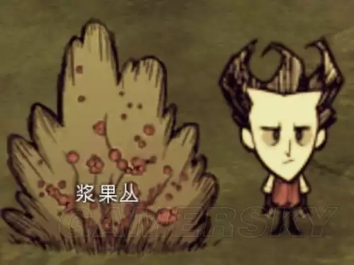 饥荒猪人喂紫宝石　饥荒猪镇金子怎么获得-第6张