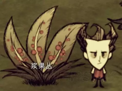 饥荒猪人喂紫宝石　饥荒猪镇金子怎么获得-第7张