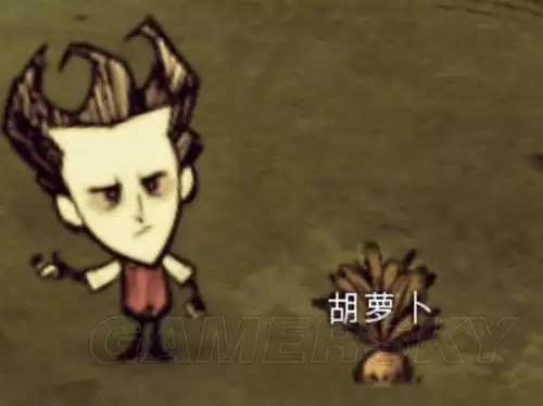 饥荒猪人喂紫宝石　饥荒猪镇金子怎么获得-第11张