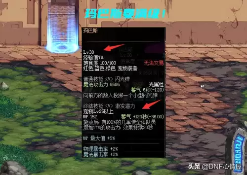 dnf拍卖行宠物玛巴斯属性　DNF拍卖行可以买宠物吗-第1张