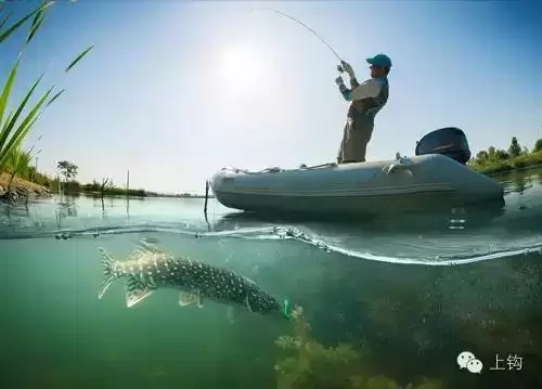 华人捕鱼攻略　捕鱼达人规则的诀窍-第5张