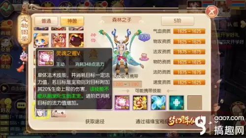 神兽森林有什么　魂兽森林-第2张