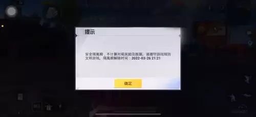 和平精英游戏中怎么看队友kd　和平精英的kd怎么提高-第2张