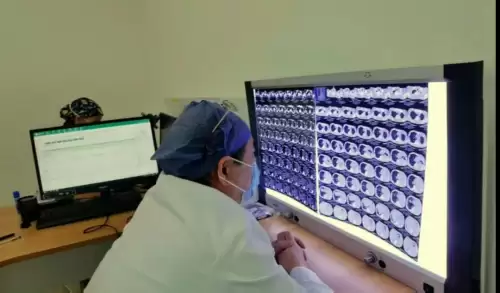 怪物猎人匠心护石有什么用　怪物猎人世界最好的护石-第8张