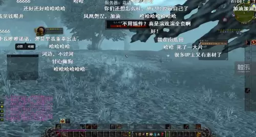 魔兽风脸有什么用　魔兽怀旧服风脸bug-第1张