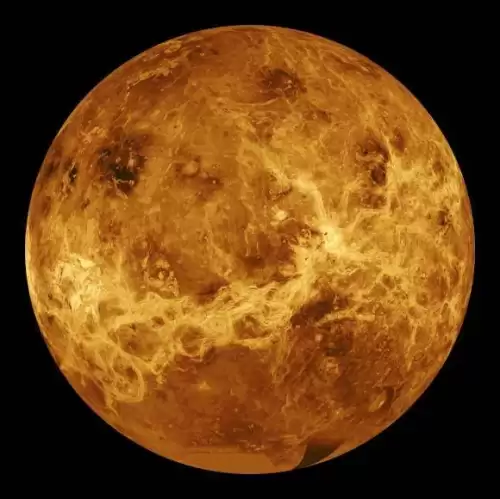 迷你世界怎么去木星　迷你世界锯齿蕨的刺茎怎么种-第5张