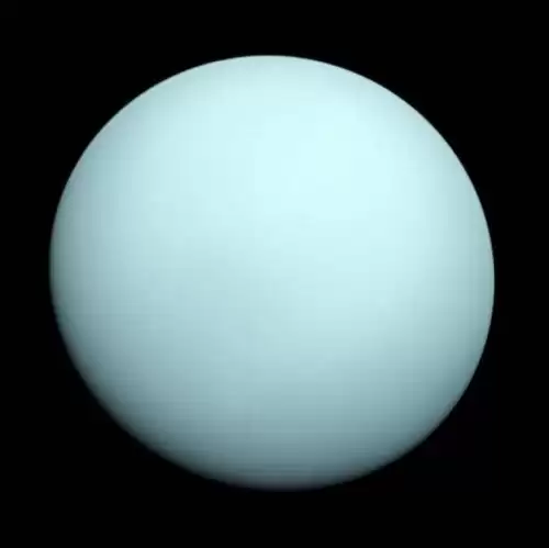 迷你世界怎么去木星　迷你世界锯齿蕨的刺茎怎么种-第10张