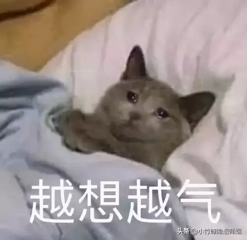 诛仙3新职业涅羽技能加点　诛仙3涅羽技能完美加点-第1张