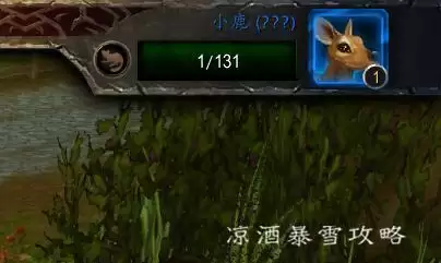 魔兽世界宠物对战怎么玩　魔兽世界宠物对战攻略-第14张