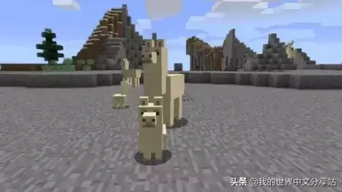 我的世界羊驼怎么骑着走　我的世界坐骑驯服大全羊驼-第1张