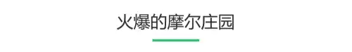 摩尔庄园怎么打龙　摩尔庄园的泡泡龙没反应-第4张