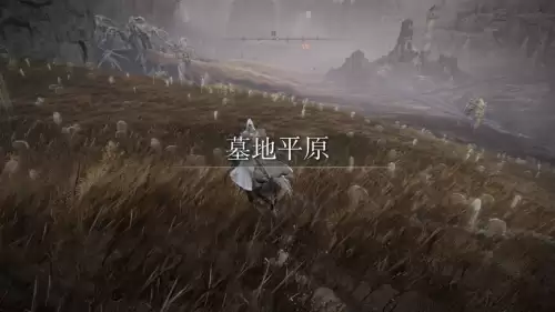 艾尔登法环你长得真好看在哪里 艾尔登法环最帅的衣服-第2张