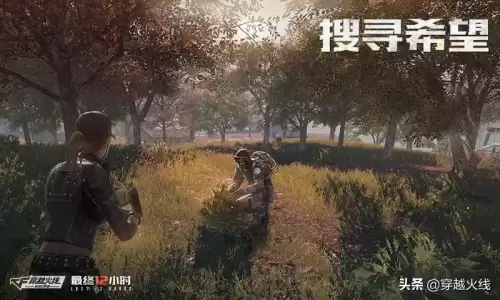 cf新斯沃特什么时候出的　cf手游王者之翼什么时候出-第8张