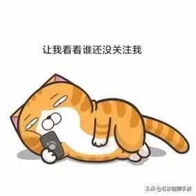 神奇宝贝大型游戏有哪些　神奇宝贝手游-第28张