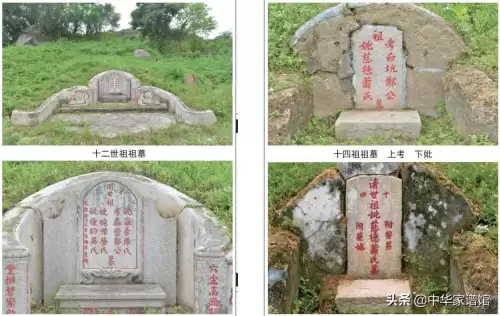 光遇雨林先祖墓碑对应-第1张