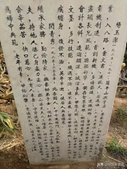 光遇雨林先祖墓碑对应-第3张