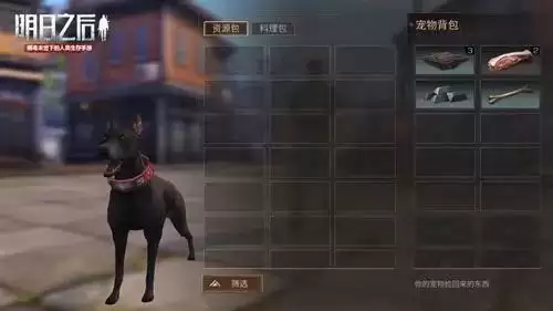 明日之后果盘版苹果能玩吗　明日之后iOS下载-第3张