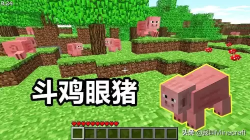 我的世界创世神图片notch　我的世界创世神的图片-第3张