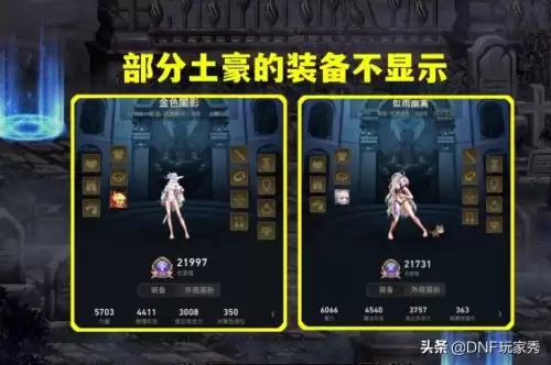 dnf不显示武器装扮　dnf武器装扮外观不显示-第2张