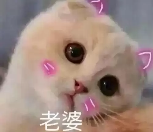 剑灵烟花玲真的是姐姐吗　剑灵不是一般人玩的-第2张