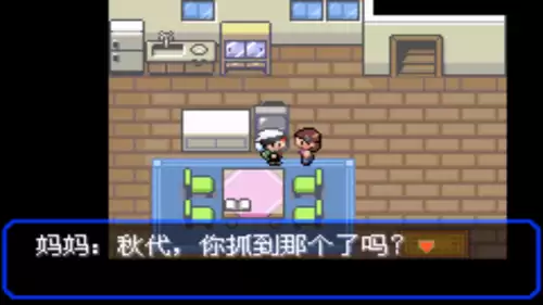 口袋妖怪究极绿宝石小智版4攻略　口袋妖怪小智版二周目-第10张