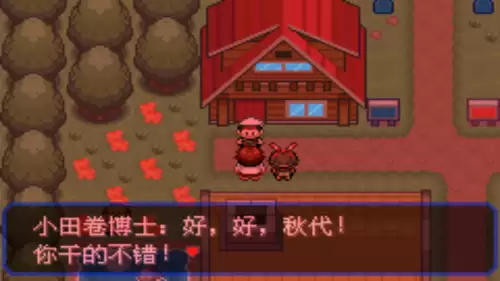 口袋妖怪究极绿宝石小智版4攻略　口袋妖怪小智版二周目-第12张