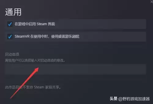 使命召唤现代战争2怎么设置语言　使命召唤现代战争2怎么设置中文-第2张
