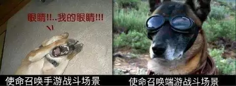 使命召唤网络版好玩吗　使命召唤手游跟端游一样吗-第9张