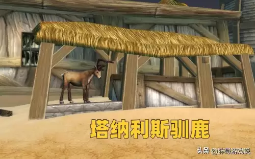 魔兽招手动作哪个按键　wow怎么招手-第7张