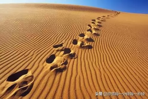 虚荣的人-第6张