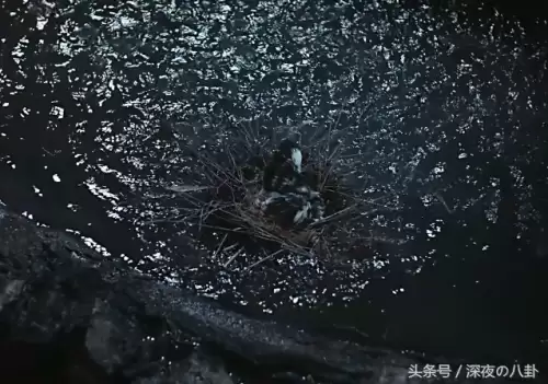 新射雕英雄传陈星旭　杨旭文和陈星旭-第4张