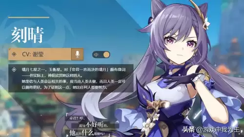 原神主c副c辅助还有什么　辅助官网-第5张