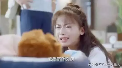 剑灵2021灵剑怎么样　2021剑灵最值得练的职业-第42张
