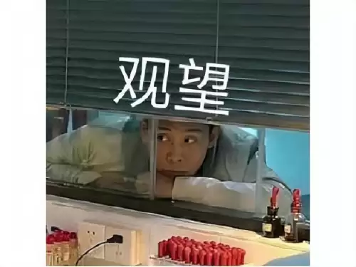 仙境传说单机版中文版　塔防游戏单机版-第8张