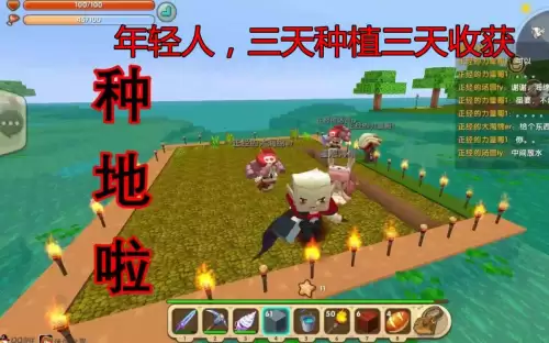 迷你世界篝火怎么点不燃　迷你世界怎么点燃树木-第3张