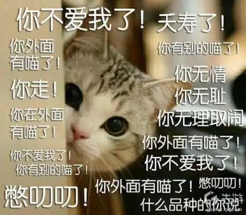 剑灵一星太极石选哪个　剑灵3星太极石面板-第28张