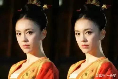 唐宫美人天下分集剧情介绍　唐宫美人天下全部演员表-第4张