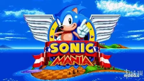 索尼克　狂欢　sonic狂欢正版下载-第7张