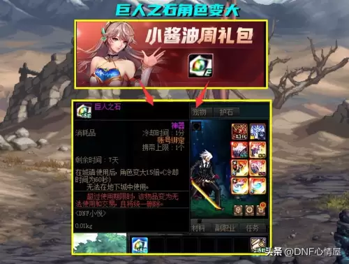 dnf宠物胶囊撒共　DNF宠物附魔-第10张