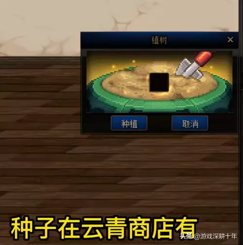 dnf婚礼离开礼堂会怎样　婚礼的流程-第21张
