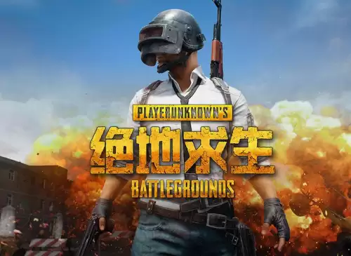pubg激活码在哪查看　PUBG激活码-第1张
