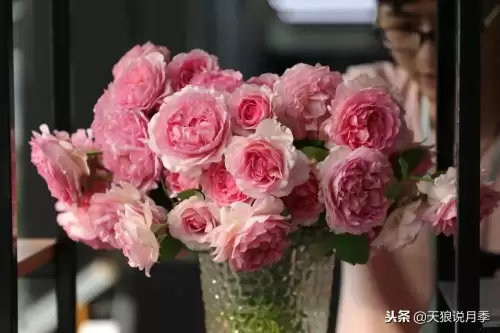 迷你世界如何免费米兰达　迷你世界多米的迷你号-第31张