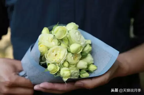 迷你世界如何免费米兰达　迷你世界多米的迷你号-第37张