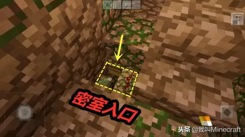 光遇雨林神殿密室　我的世界雨林村庄种子-第3张
