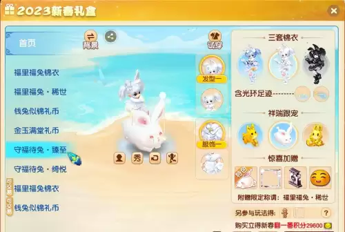 dnf兔年宠物礼盒　dnf新春宠物装备自选礼盒-第6张