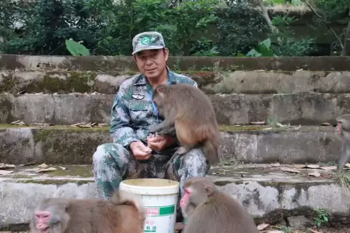 逗小猴开心系列560攻略　逗小猴开心650攻略-第2张