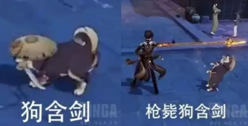 原神柴犬怎么驯服　原神各种犬在哪抓-第4张