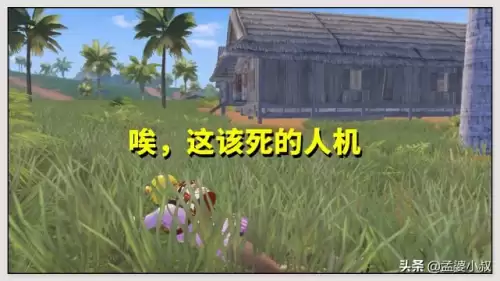 和平精英黄金岛苟分点　和平精英海岛苟分点-第2张
