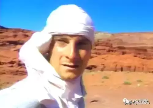 反恐精英20周年印花胶囊什么时候下架　反恐精英是什么时候上线的-第15张