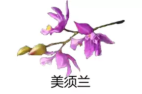 明日之后怎么寻回失物　找回失物的方法有哪些-第14张